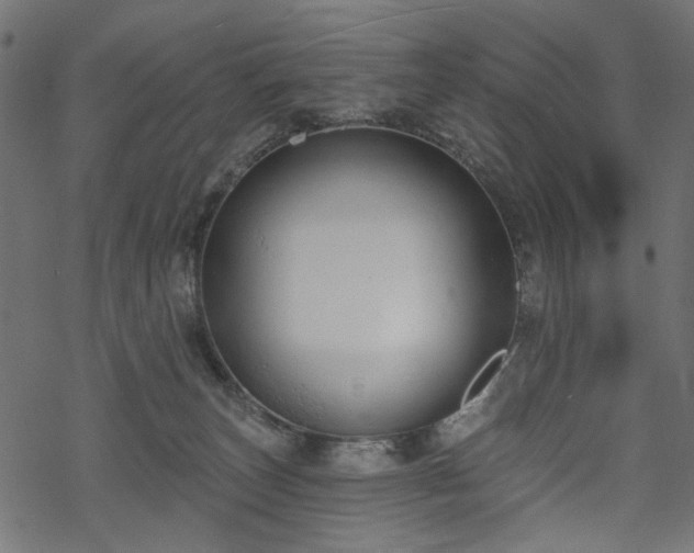 X0000068890179200605081329