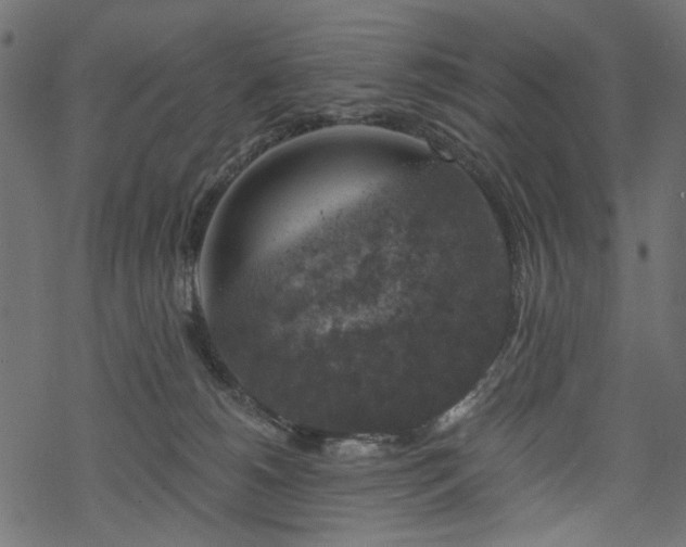 X0000068890180200605081329