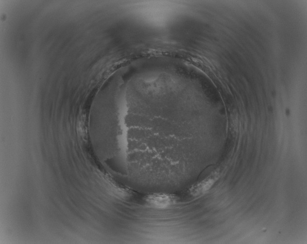 X0000068890181200605081329