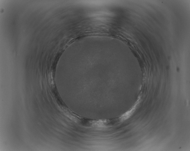 X0000068890182200605081329