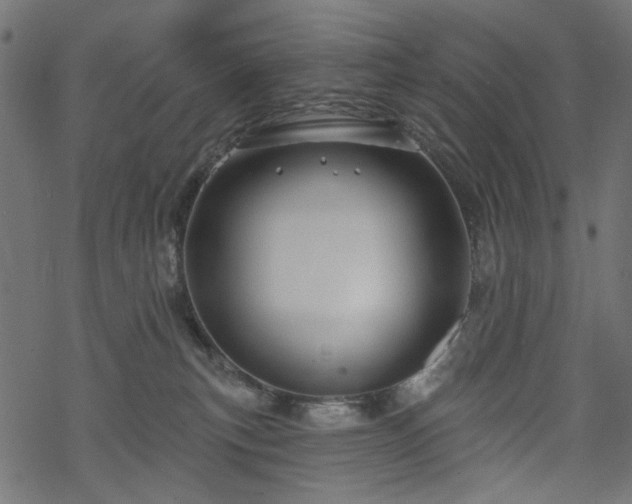 X0000068890183200605081329