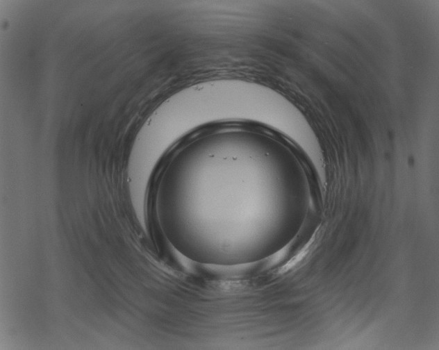 X0000068890184200605081329