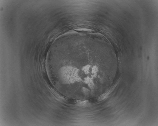 X0000068890185200605081329