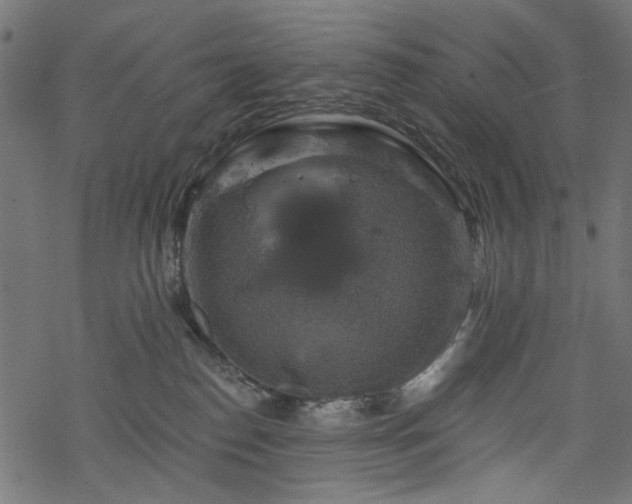 X0000068890186200605081329