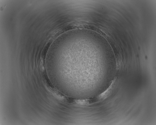 X0000068890187200605081329