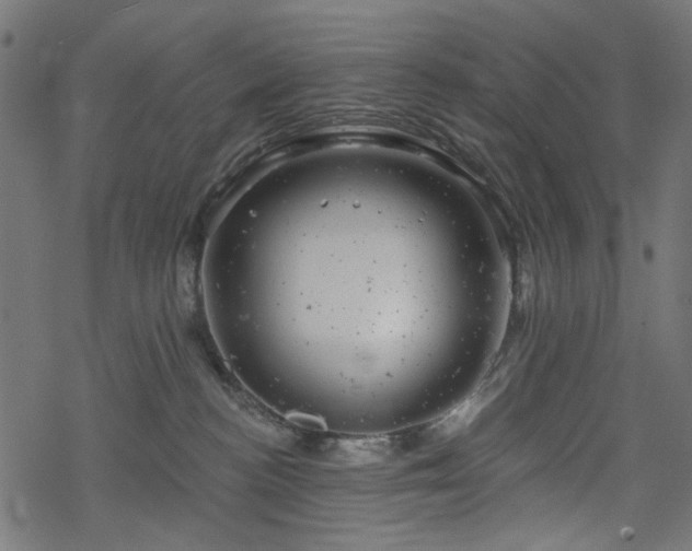 X0000068890188200605081329