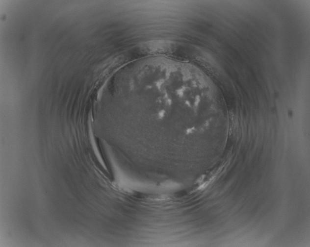 X0000068890189200605081329