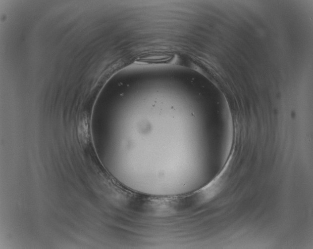 X0000068890190200605081329