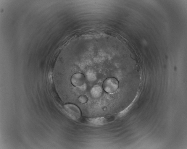 X0000068890191200605081329