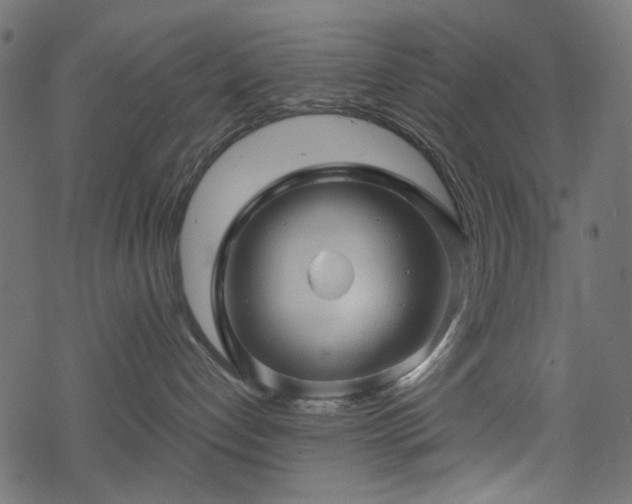 X0000068890192200605081329