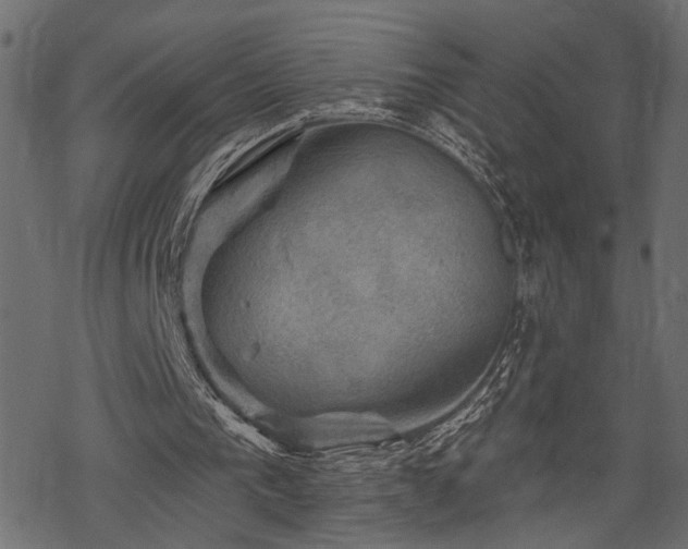 X0000068890193200605081328