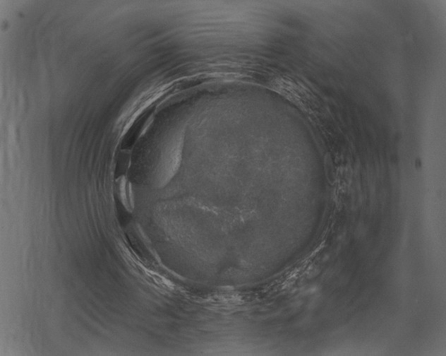 X0000068890194200605081328