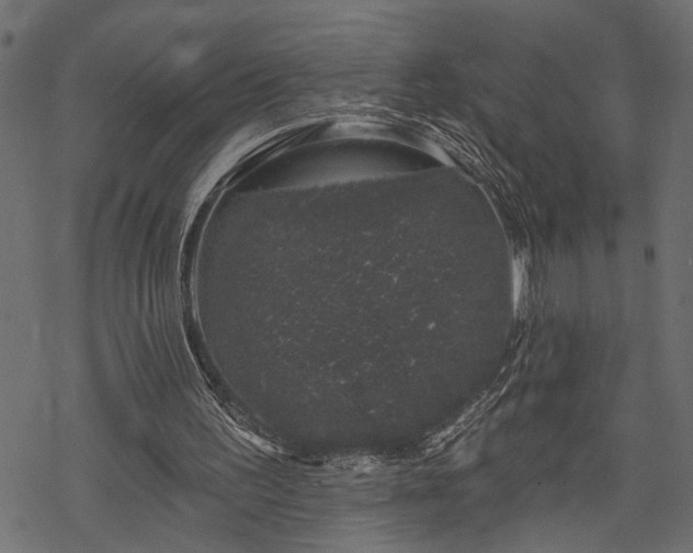 X0000068890195200605081328