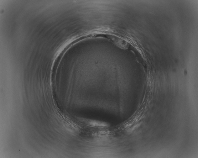 X0000068890196200605081328