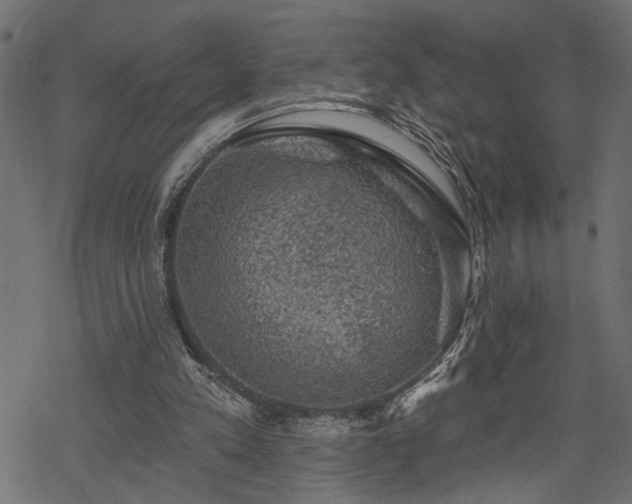 X0000068890197200605081328