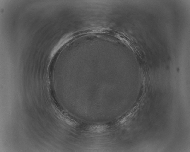 X0000068890198200605081328