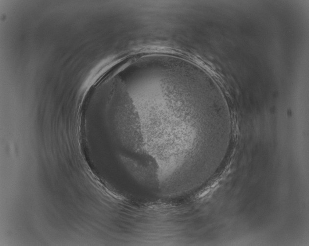 X0000068890199200605081328