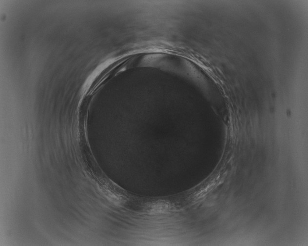 X0000068890200200605081328