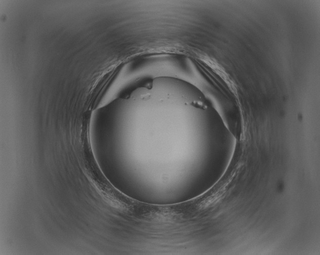 X0000068890201200605081328