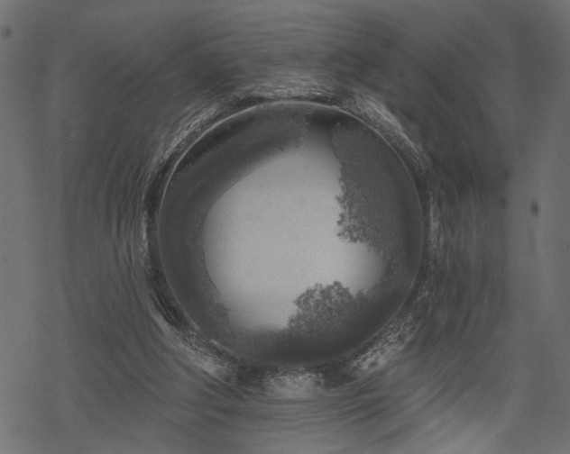 X0000068890202200605081328