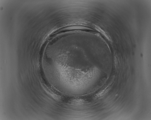 X0000068890203200605081328