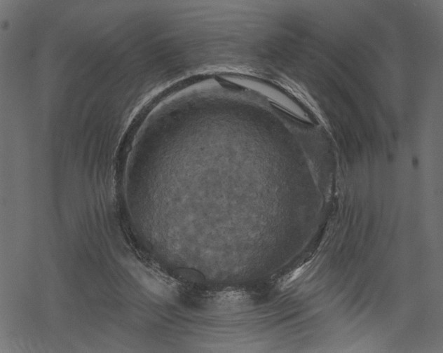 X0000068890204200605081328