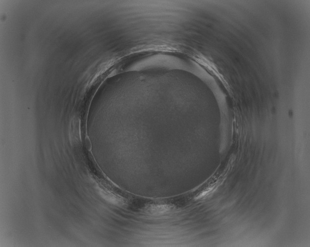 X0000068890205200605081328