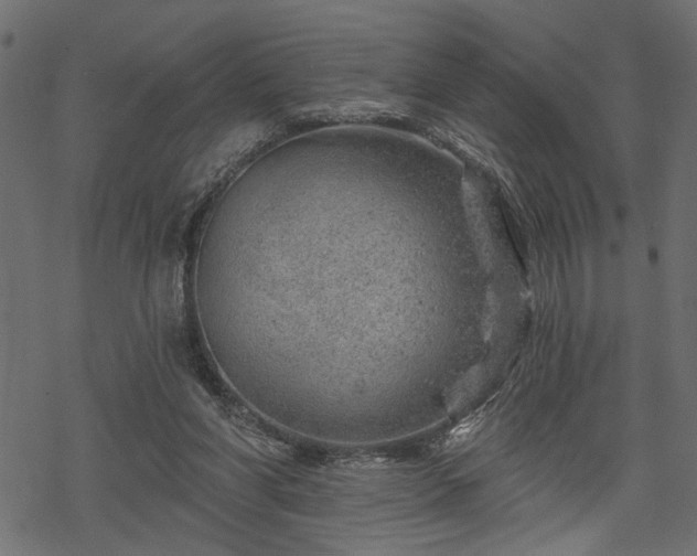 X0000068890206200605081328