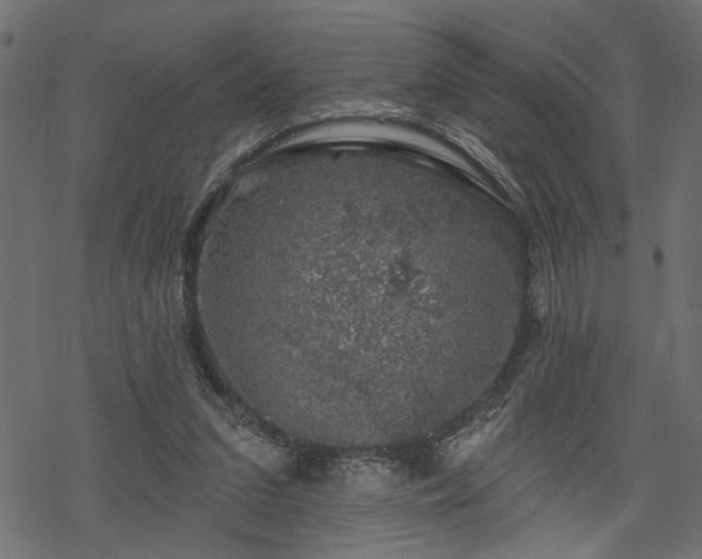 X0000068890207200605081328