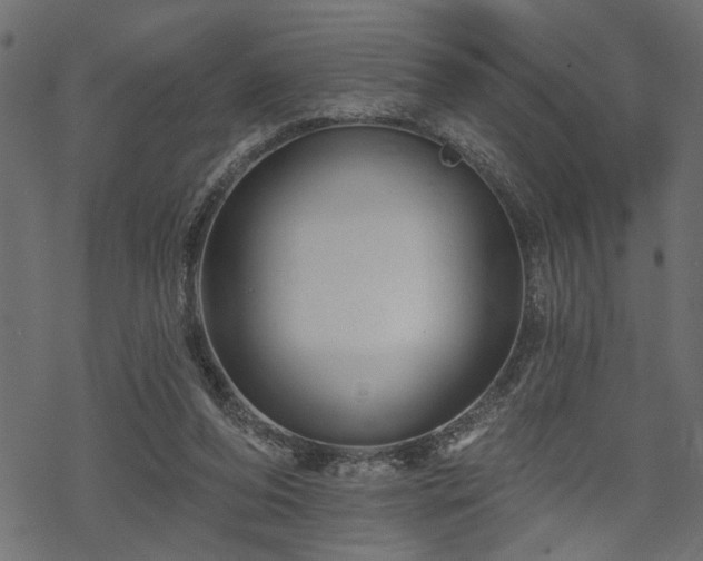 X0000068890208200605081328