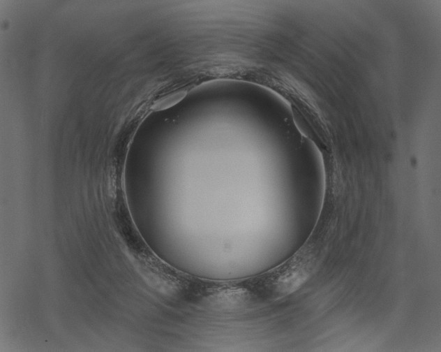 X0000068890210200605081328