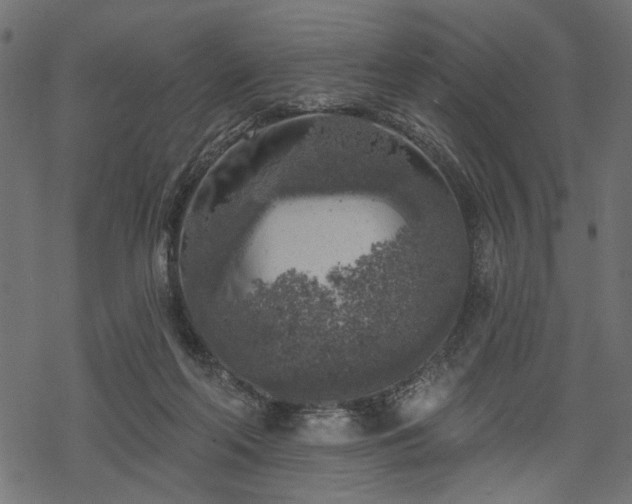 X0000068890214200605081328