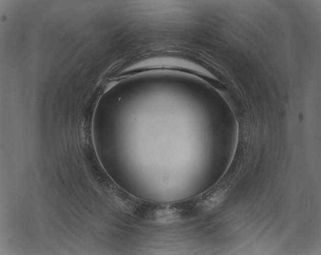 X0000068890216200605081328