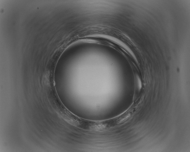 X0000068890217200605081328