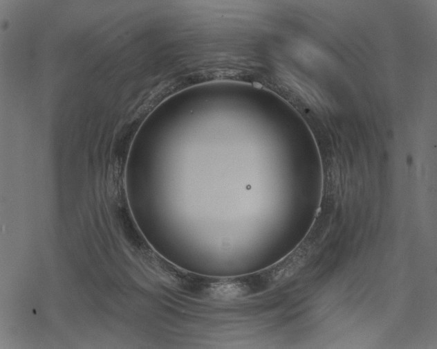 X0000068890218200605081328