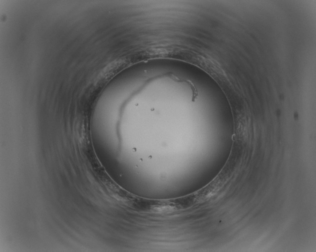 X0000068890220200605081328