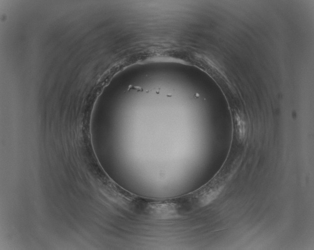 X0000068890221200605081328