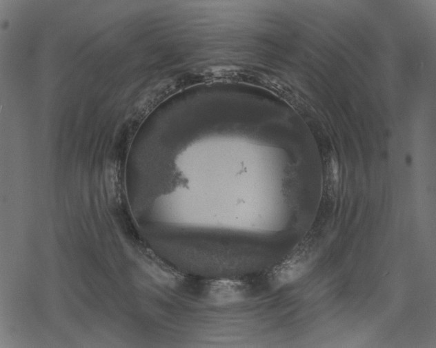 X0000068890222200605081328