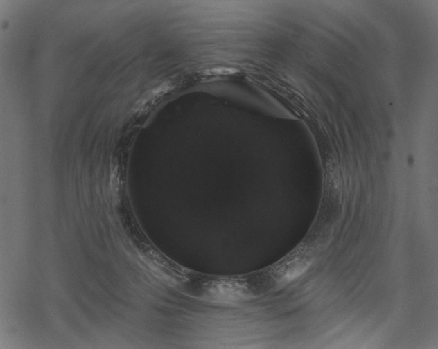 X0000068890223200605081328