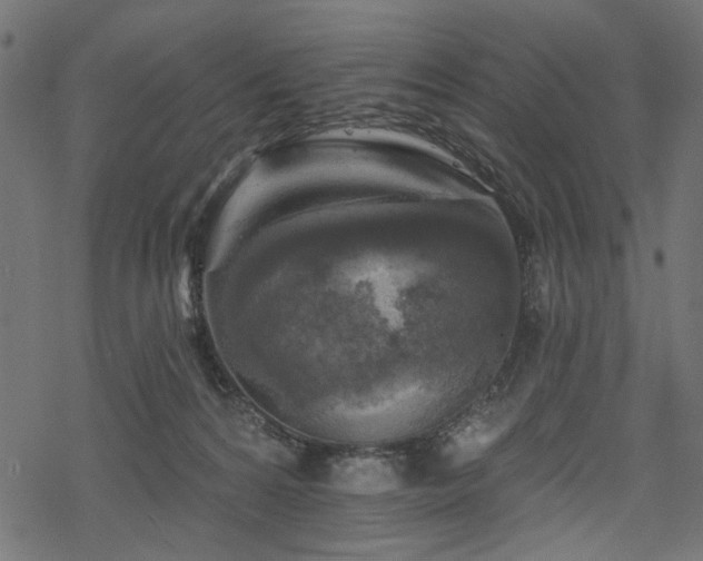 X0000068890224200605081328