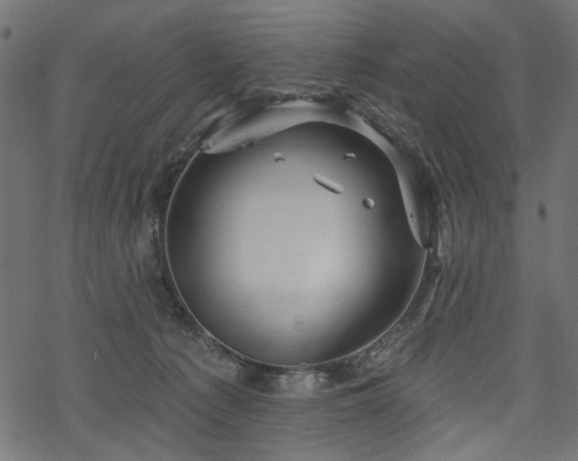 X0000068890225200605081328