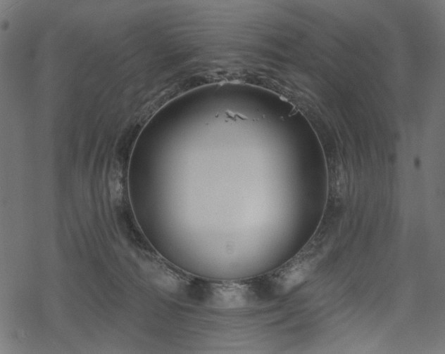 X0000068890226200605081328