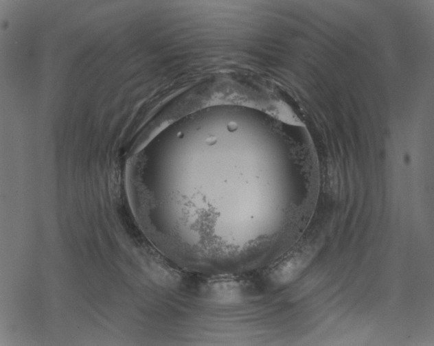 X0000068890228200605081328