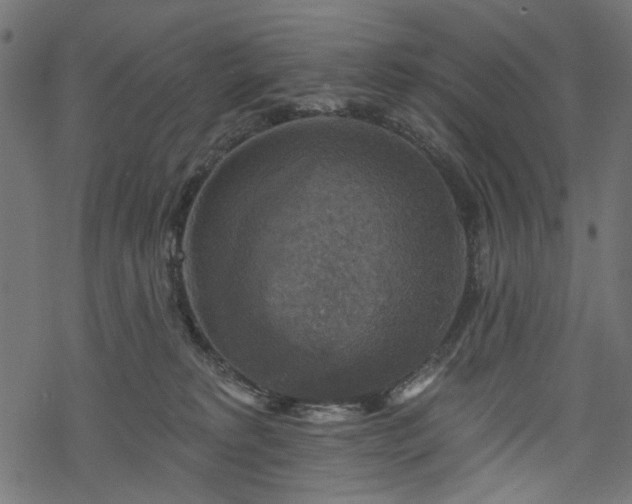 X0000068890229200605081328