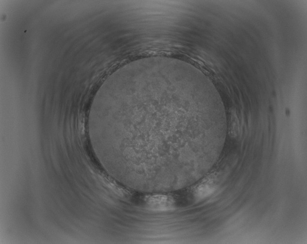 X0000068890230200605081328