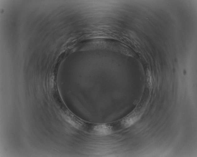 X0000068890231200605081328