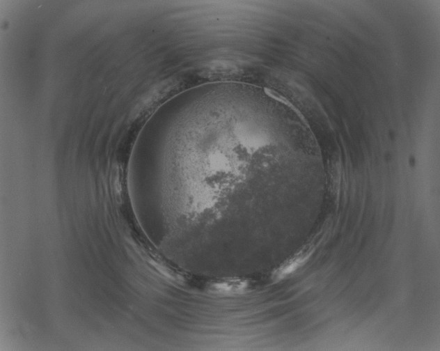 X0000068890232200605081328