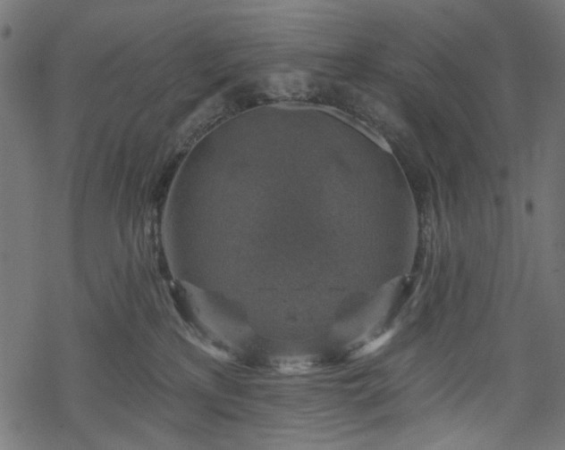 X0000068890233200605081328