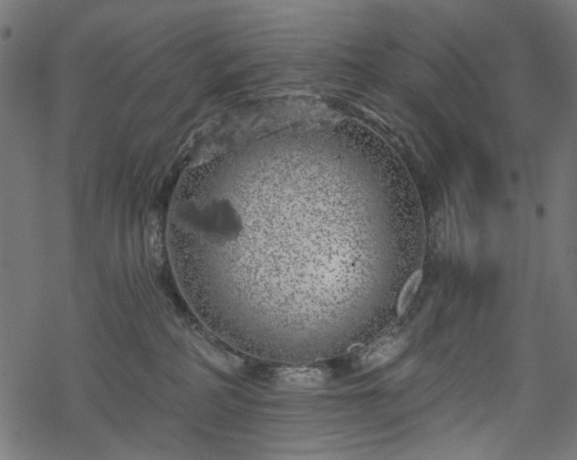 X0000068890234200605081328