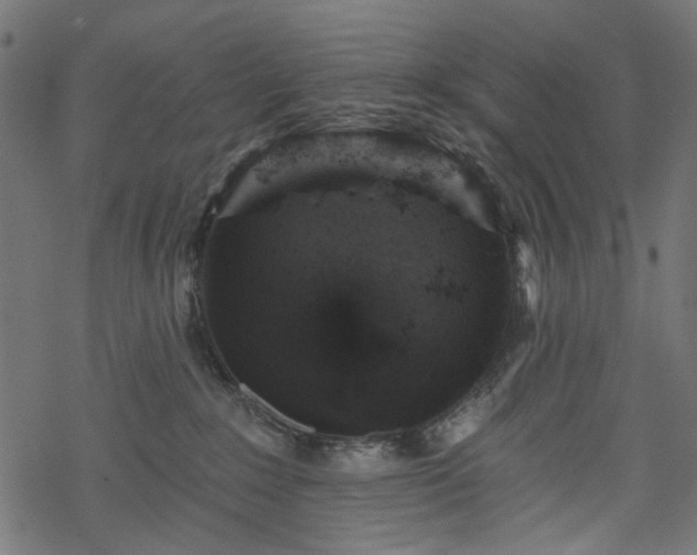 X0000068890235200605081328